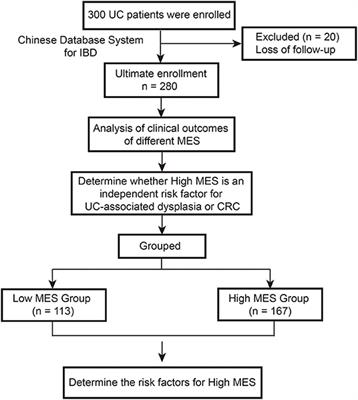 The Mayo Endoscopic Score Is a Novel Predictive Indicator for Malignant Transformation in Ulcerative Colitis: A Long-Term Follow-Up Multicenter Study